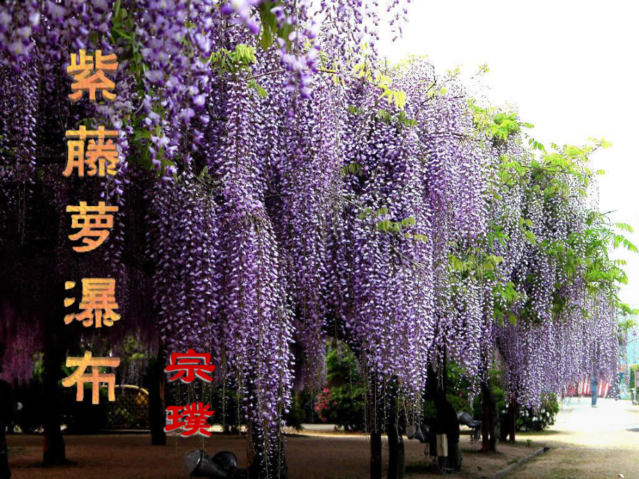 第1頁(yè)