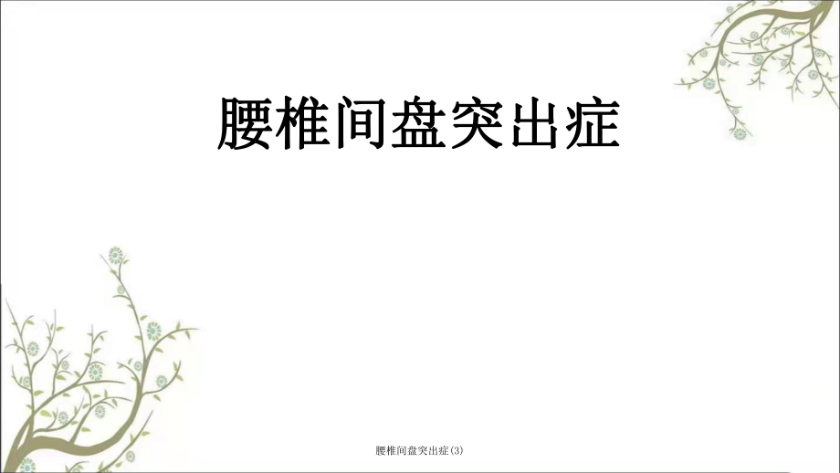 腰椎间盘突出症(3)课件_第1页