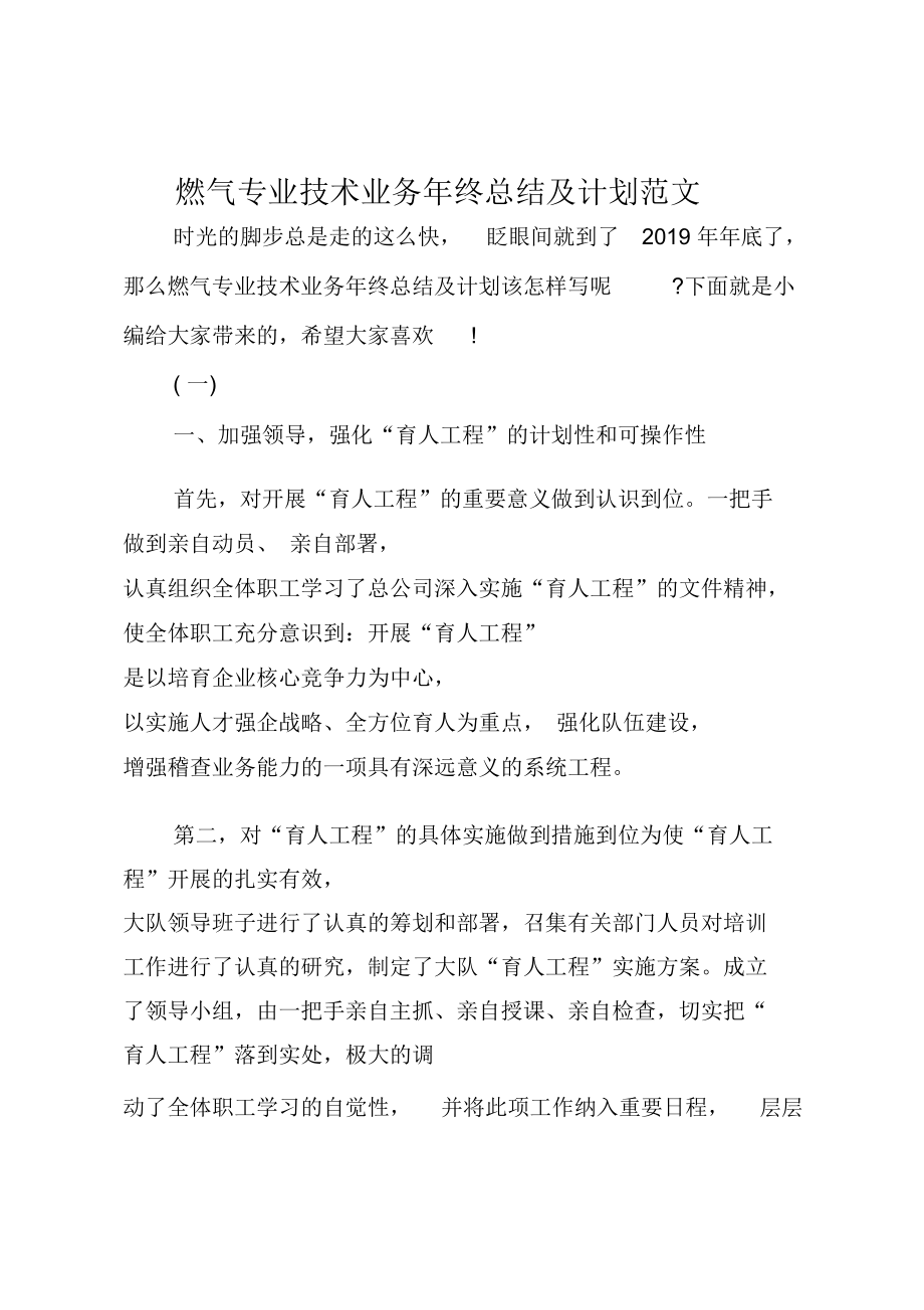 燃气专业技术业务年终总结及计划范文_第1页