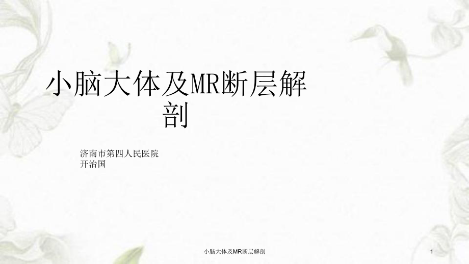 小脑大体及MR断层解剖课件_第1页