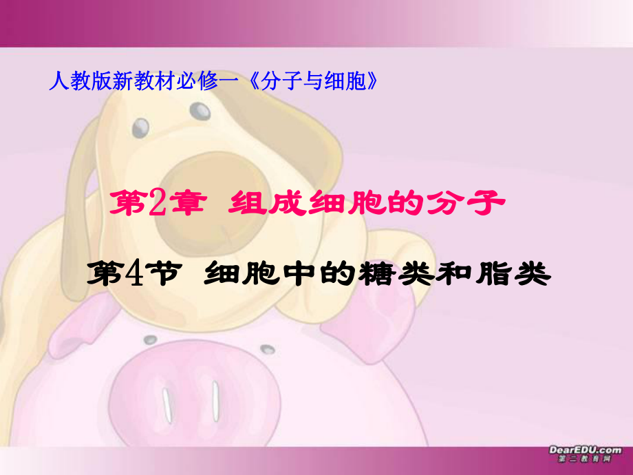 细胞中的糖类、脂类_第1页