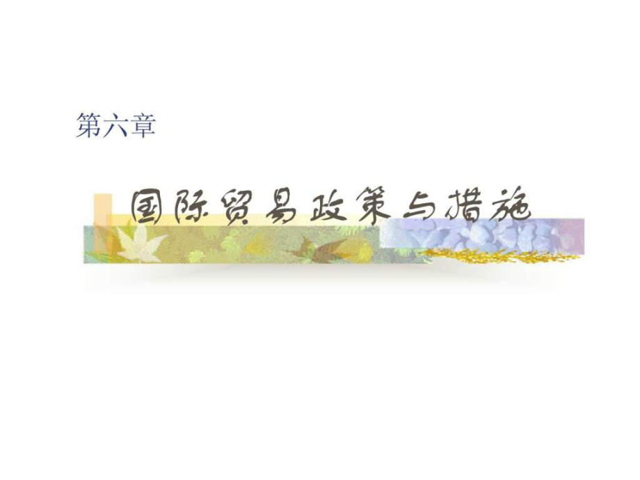 第六章 国际贸易政策与措施_第1页
