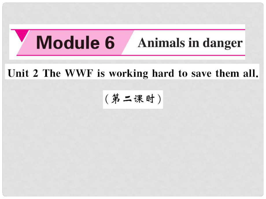 八年级英语上册 Module 6 Animals in danger Unit 2 The WWF is working hard to save them all（第2课时）课件 （新版）外研版_第1页