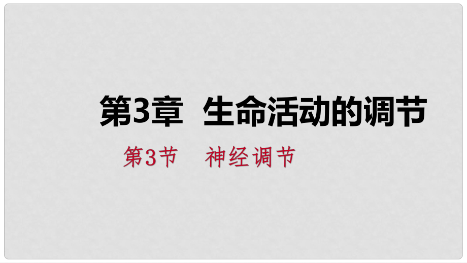 八年级科学上册 第3章 生命活动的调节 3.3 神经调节 3.3.2 信息的处理练习课件 （新版）浙教版_第1页