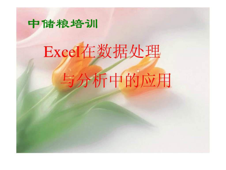 Excel在数据处理与分析中的应用_第1页