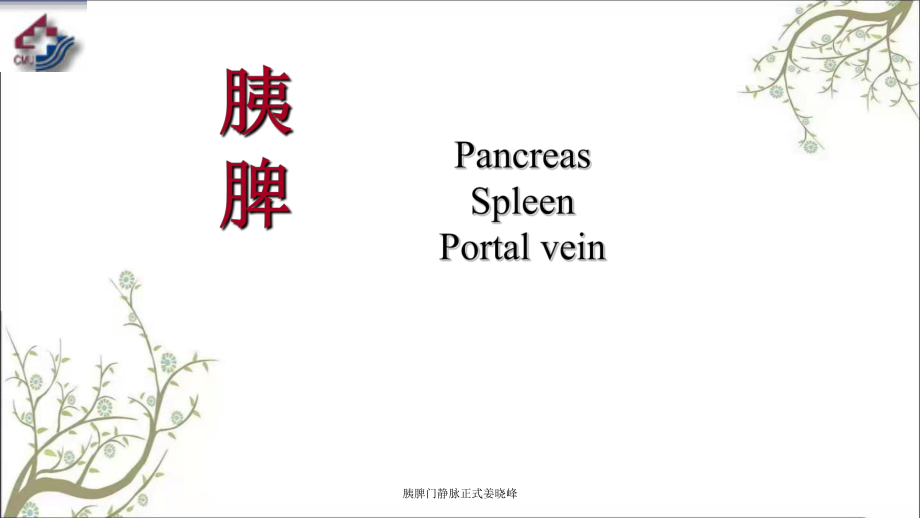 胰脾门静脉正式姜晓峰_第1页