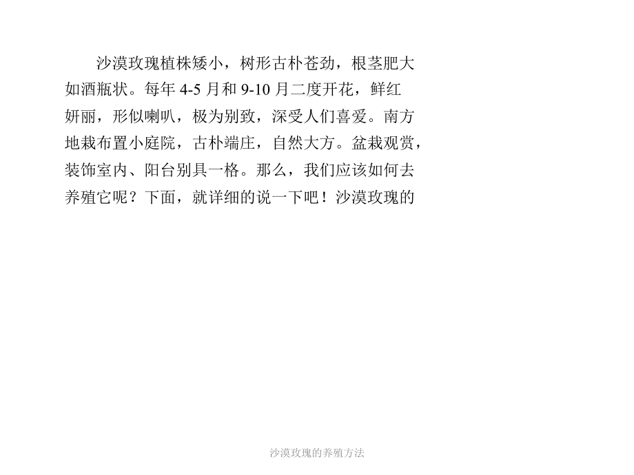 沙漠玫瑰的养殖方法_第1页