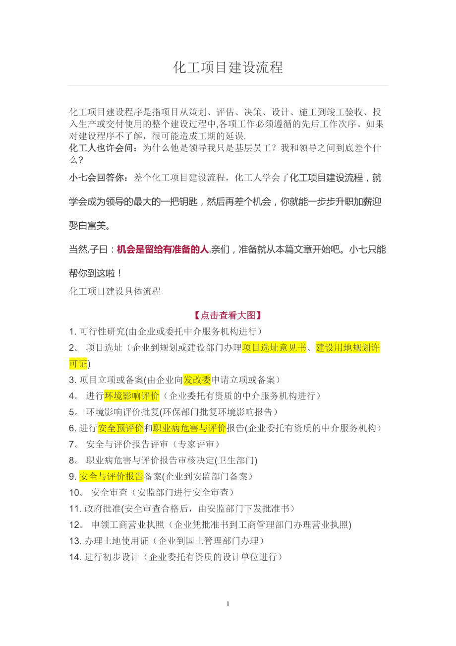 化工项目建设流程80002_第1页