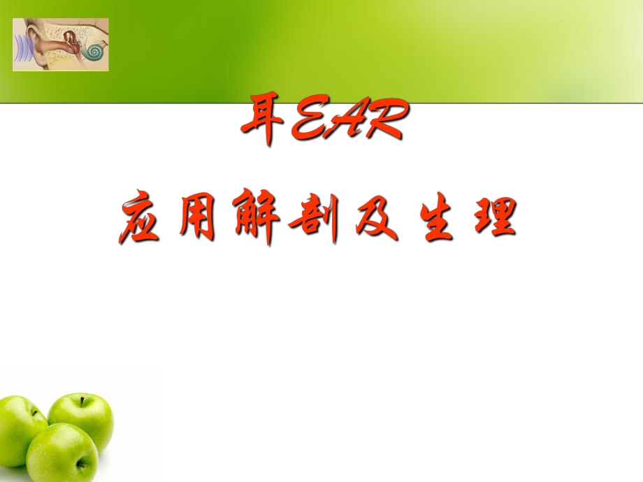 耳解剖及生理PPT课件02_第1页
