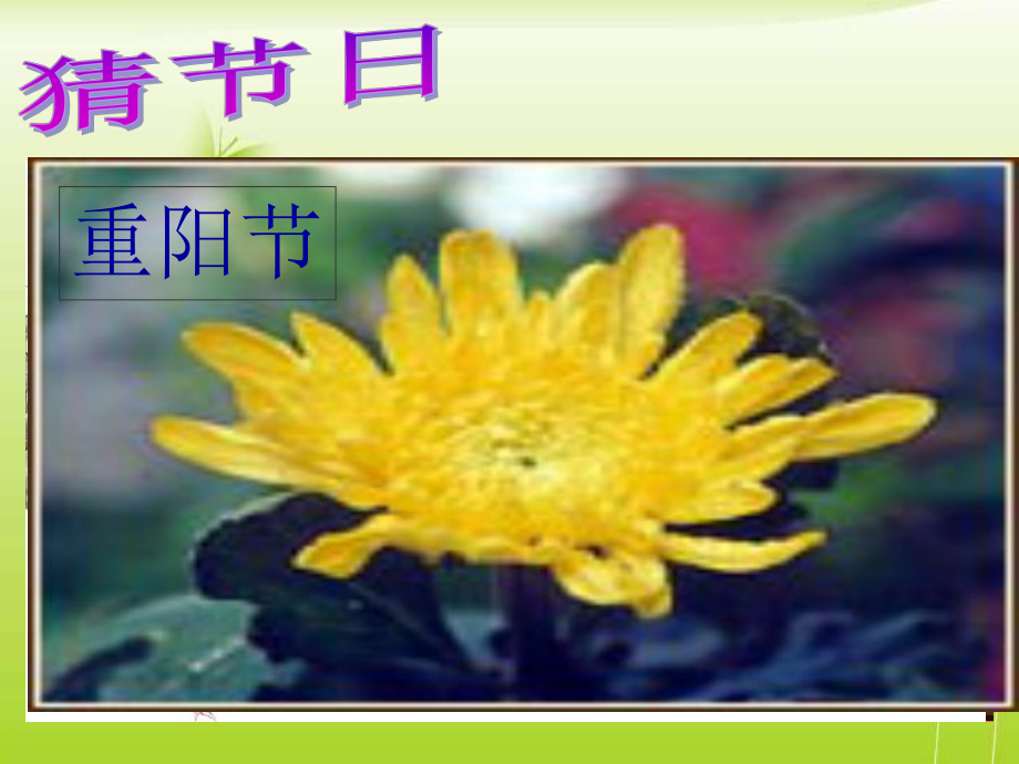 17端午的鸭蛋_第1页