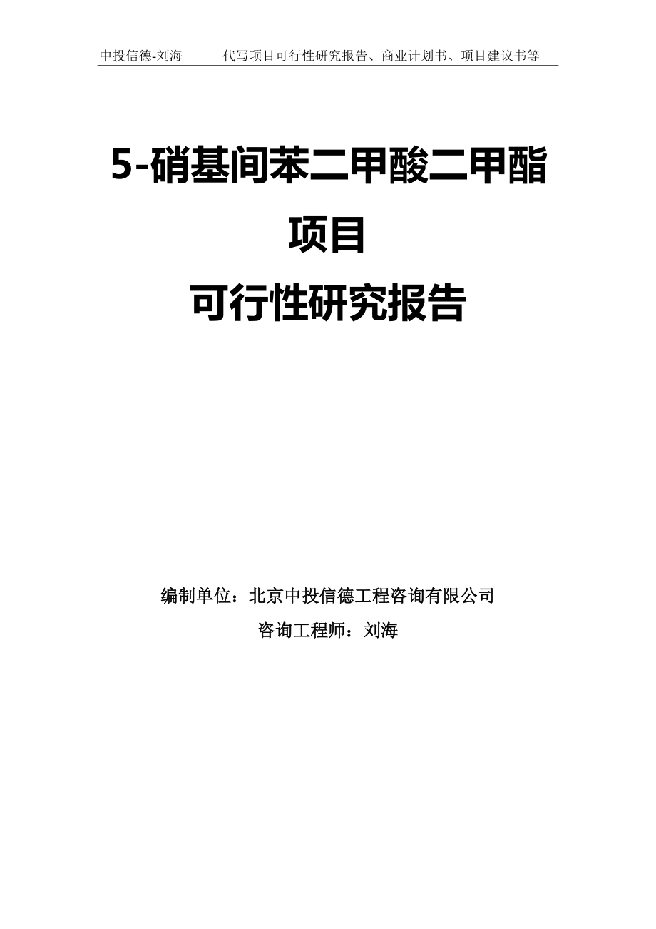 5-硝基间苯二甲酸二甲酯项目可行性研究报告模板-立项审批_第1页