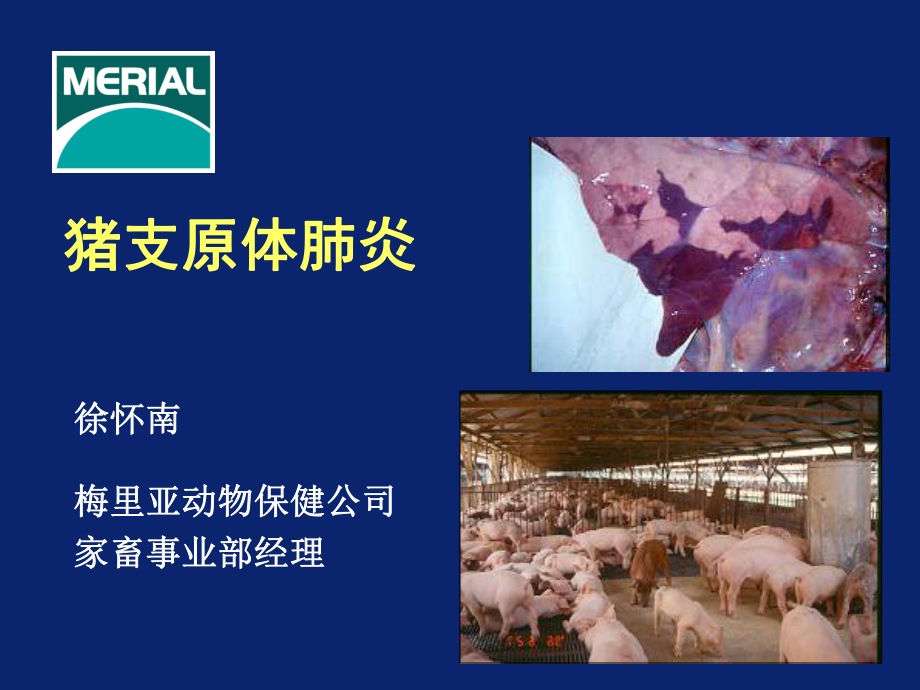 猪支原体肺炎PPT_第1页