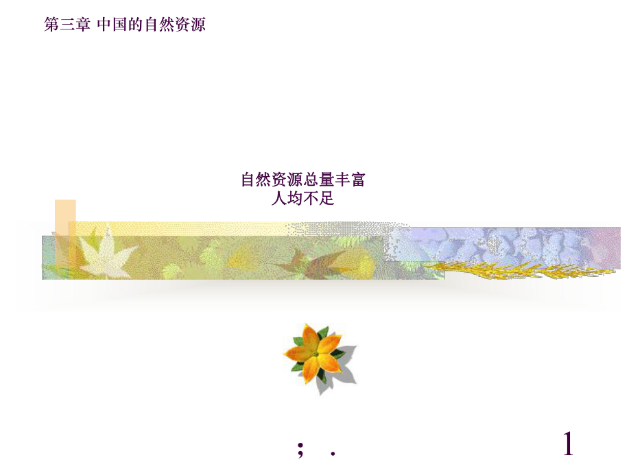 自然资源总量丰富人均不足优质ppt课件_第1页
