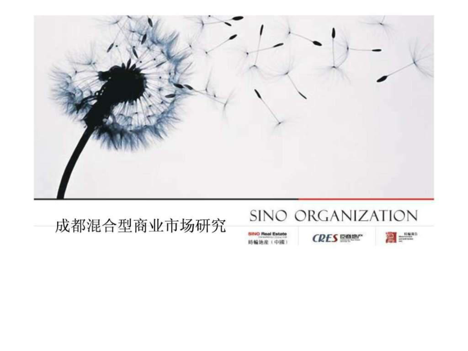 成都南延线混合型商业市场研究报告ppt课件_第1页