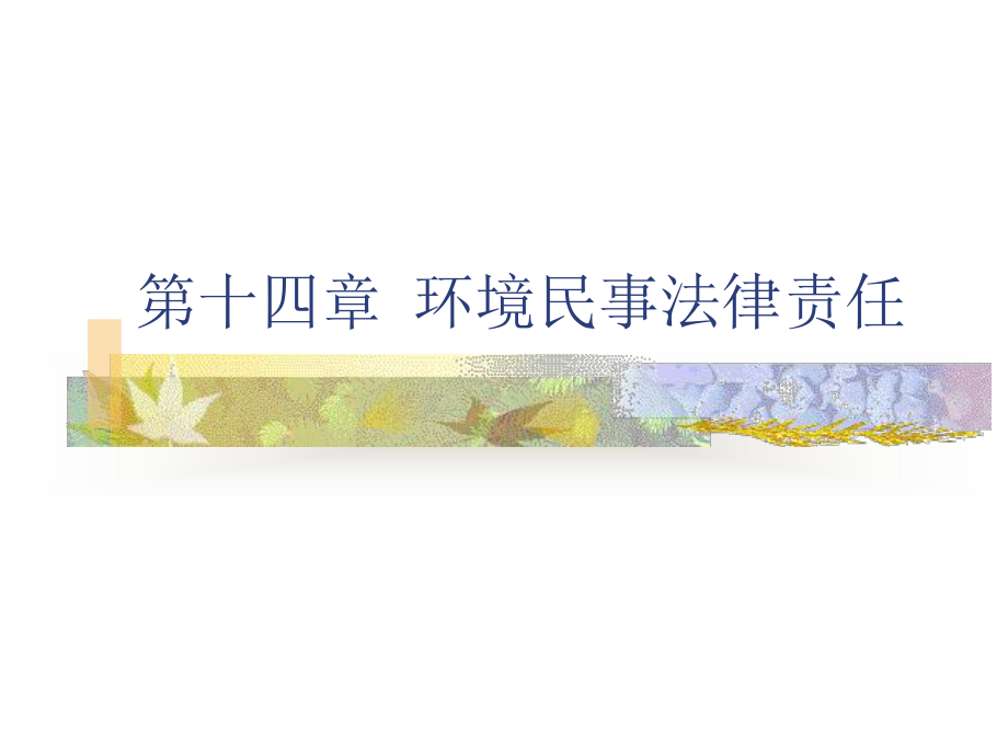 九章节境民事法律责任_第1页
