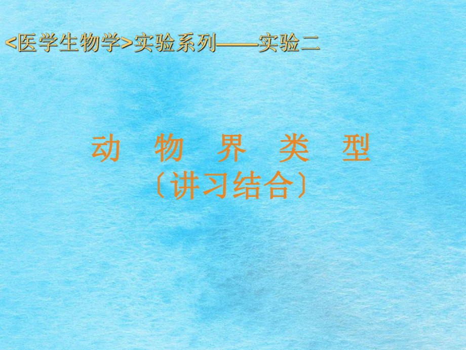无脊椎动物一ppt课件_第1页