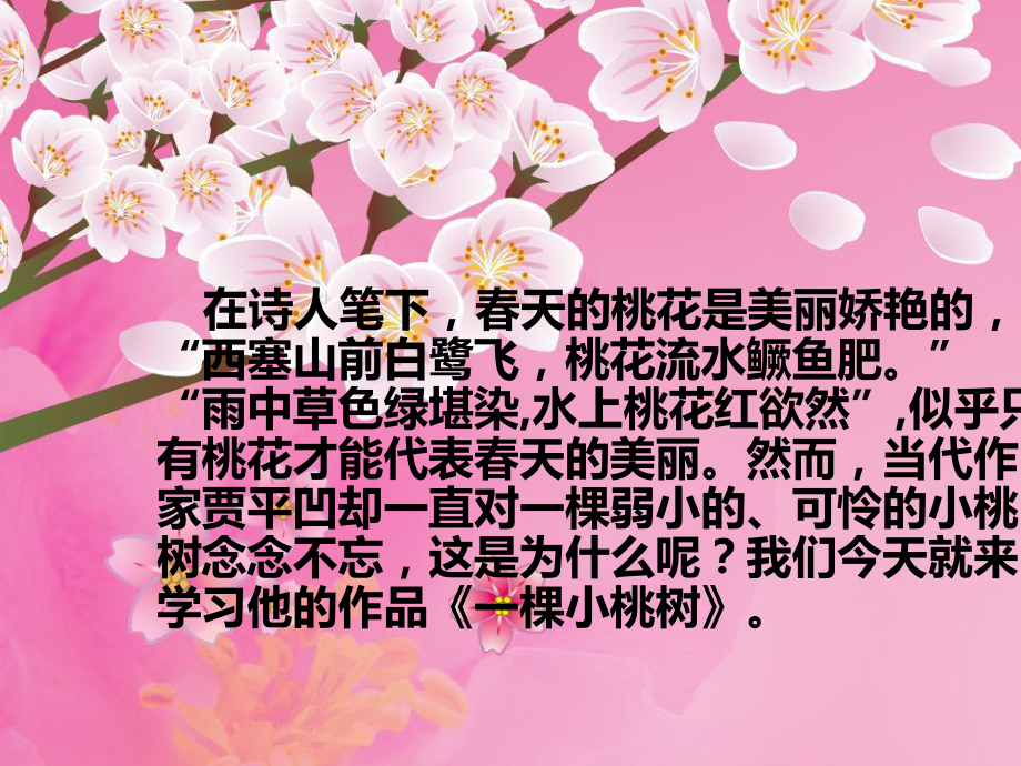 《一棵小桃树》贾平凹_第1页