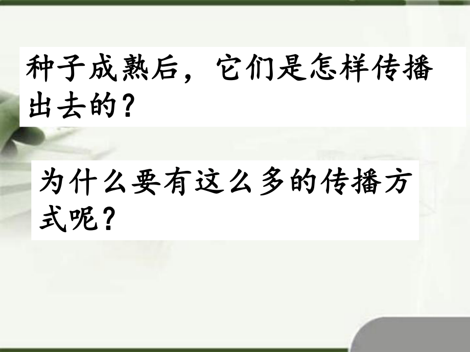 把种子撒播到远处_第1页