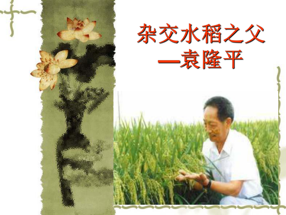 《杂交水稻之父——袁隆平》课件_第1页