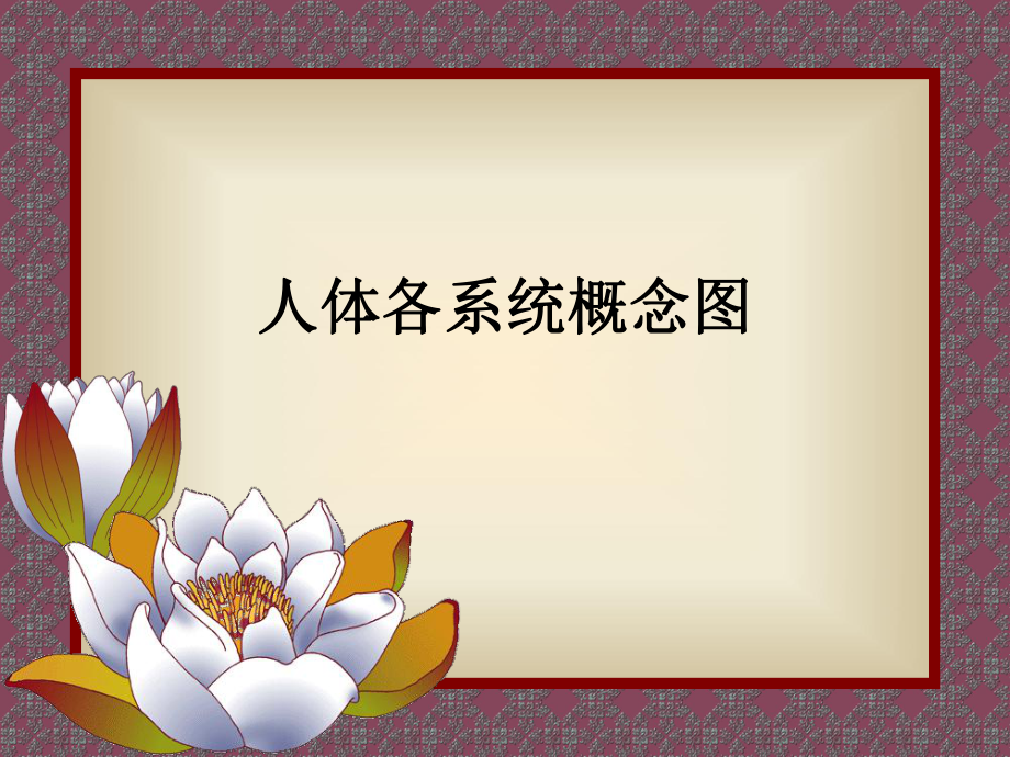 人体各系统念图_第1页