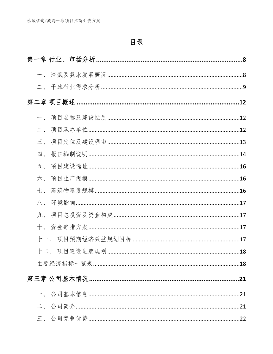 威海干冰项目招商引资方案_参考模板_第1页