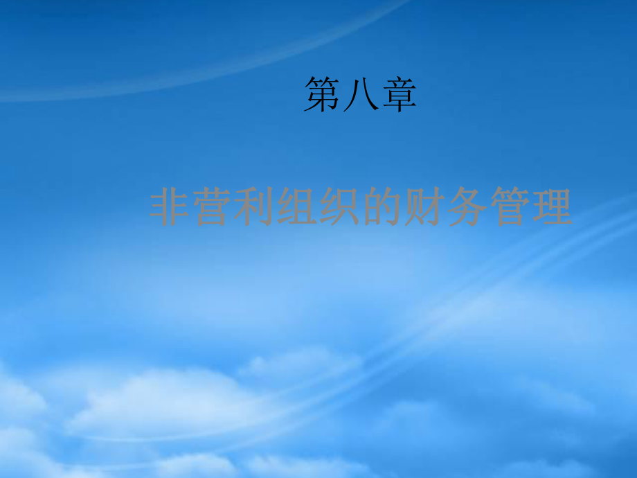 非营利组织管理8财务管理_第1页