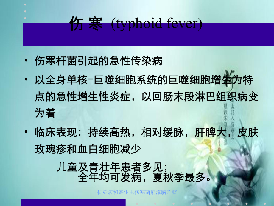 传染病和寄生虫伤寒菌痢流脑乙脑_第1页