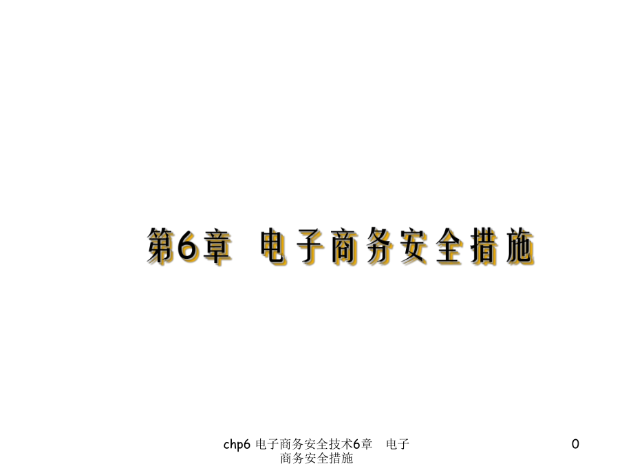 chp6电子商务安全技术_第1页